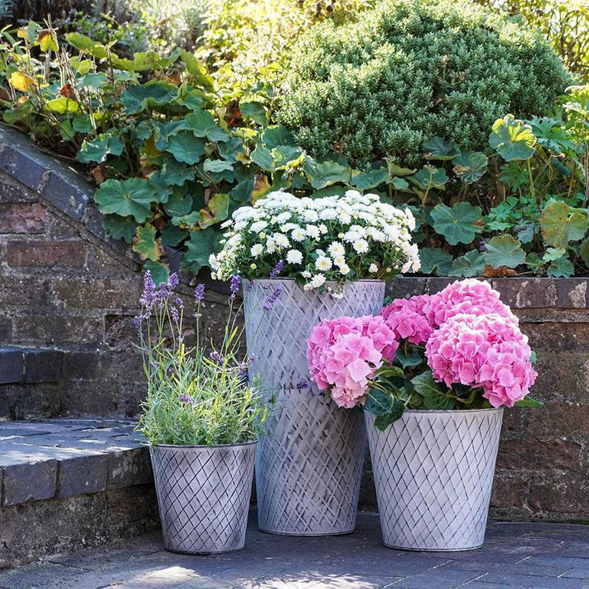 Outdoor Chatsworth Zinc Planter 26cm Height 26cm Width