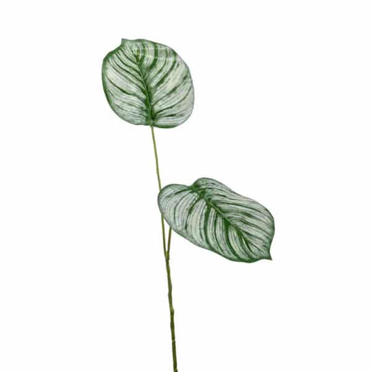 Artificial Calathea Leaf 50cm