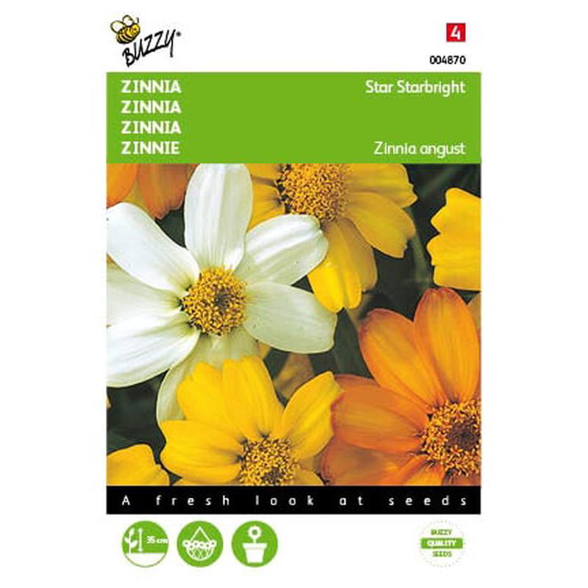 Buzzy Zinnia Star Starbright Mixed Seeds