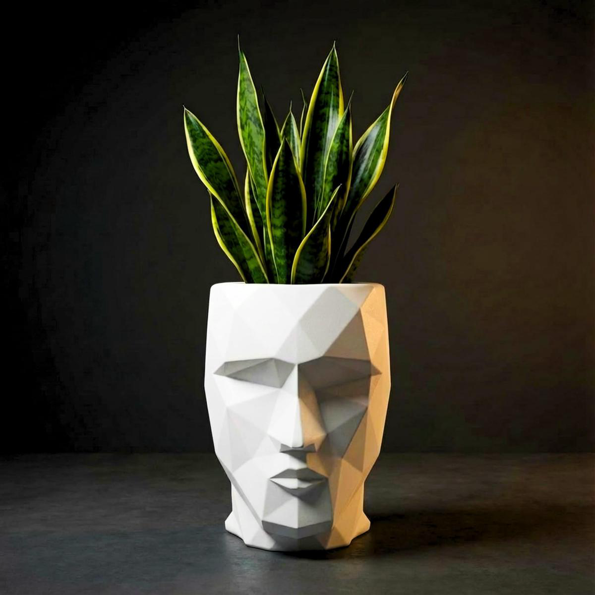 Iron Man Face Planter Pot (Pack of 1) Luxury Geometric Designer Unique Plant Pots for Living Room Bedroom Office Villa 038 premium commercial interiors 8211 White