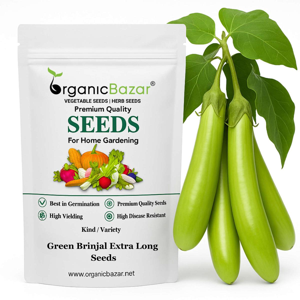 Green Brinjal Extra Long Seeds 8211 (50 Seeds) High Germination High Yield Ideal for TerraceKitchen Gardening (Lamba BainganEggplant )