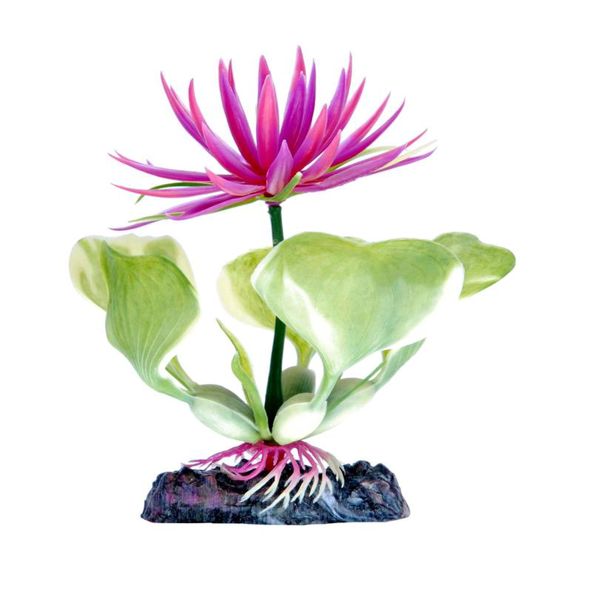 Penn Plax Red Water Hyacinth Plant 5 Inch
