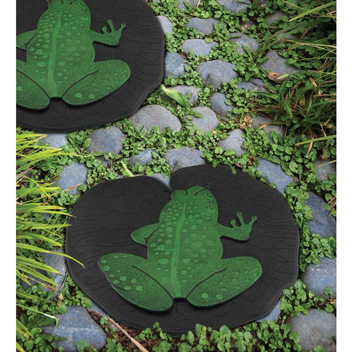 Stepping Stone 8211 Frog