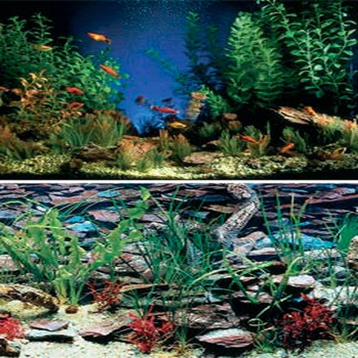 Penn Plax Background AquaramaShalscape 128221 Tall (Sold by Ft)
