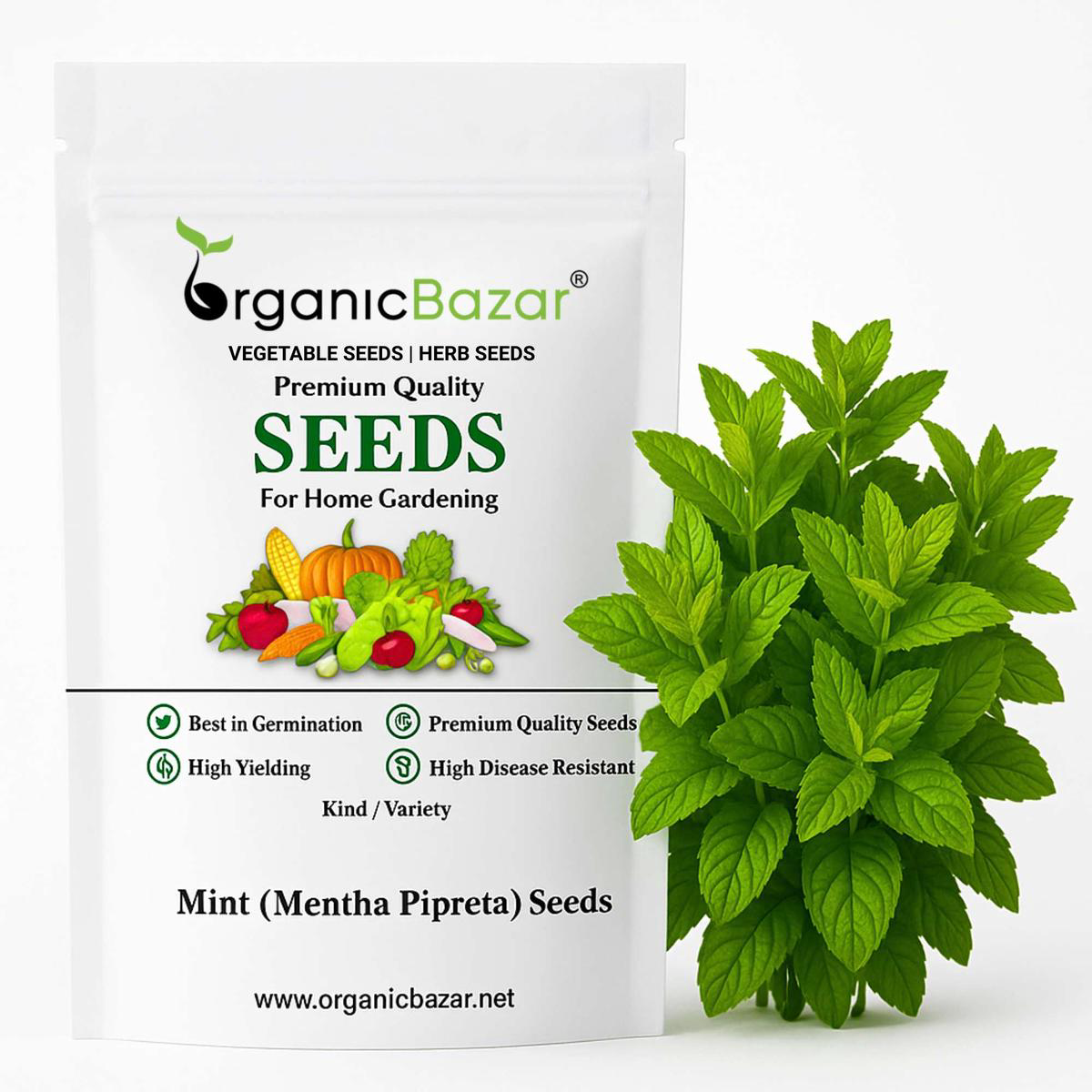 MintPeppermint (Mentha Pipreta) Seeds Pudina Ke Beej 8211 (200 Seeds)