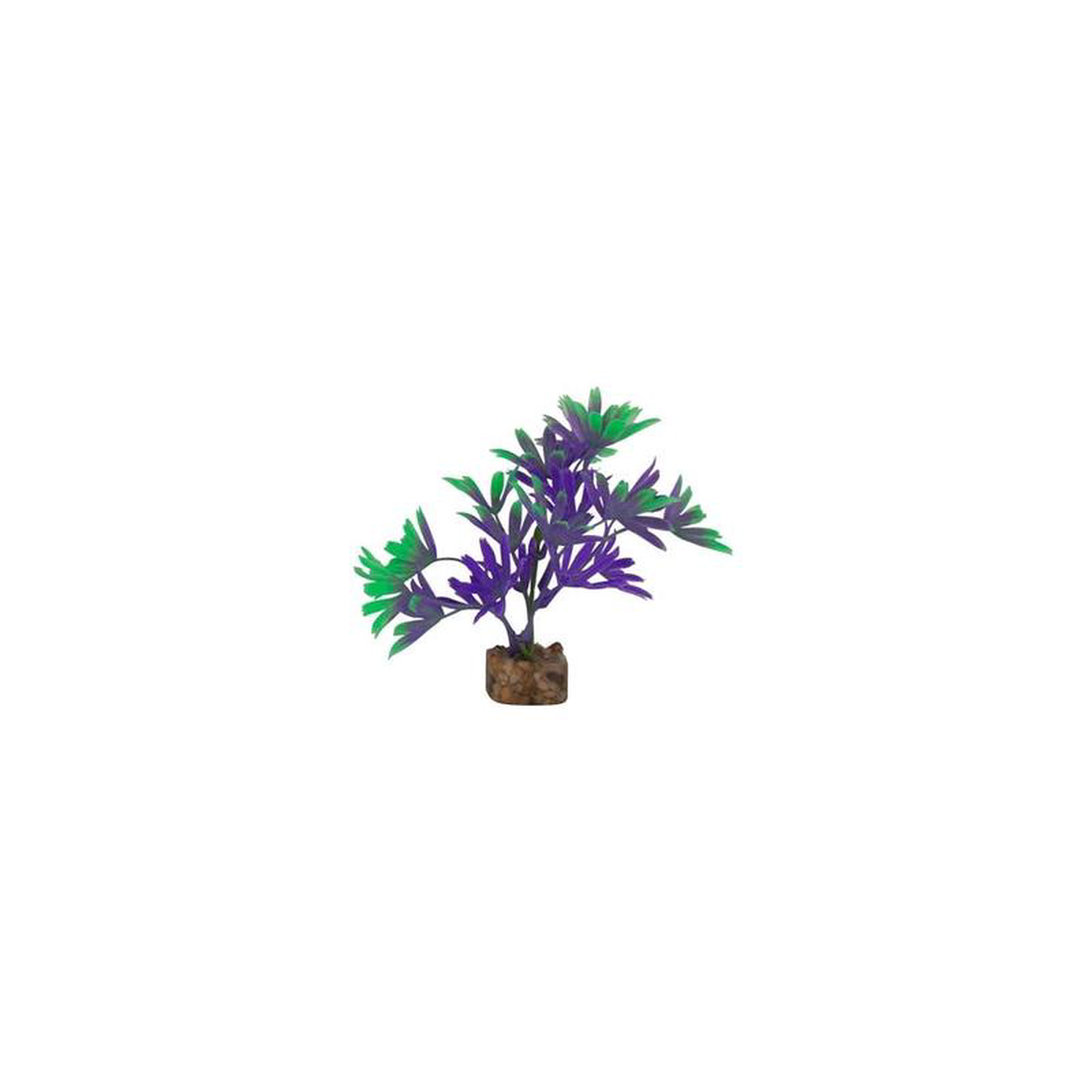 Tetra GloFish Plant PurpleGreen