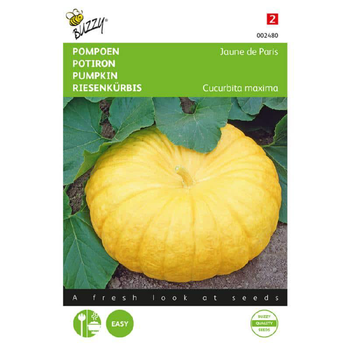 Buzzy Pumpkin Yellow Giants