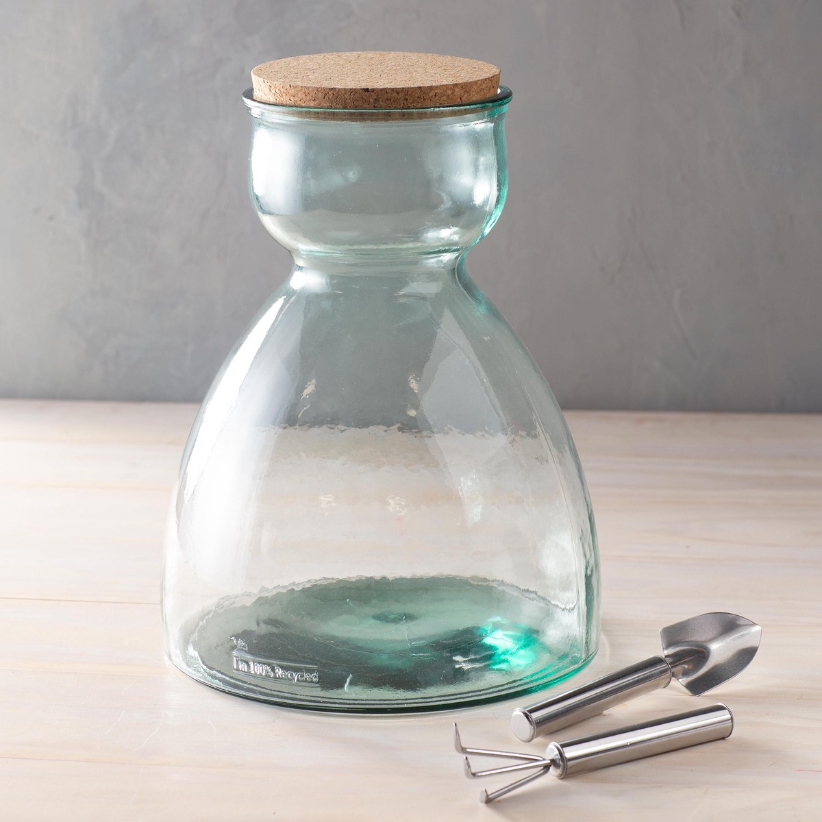 Tall Glass Terrarium