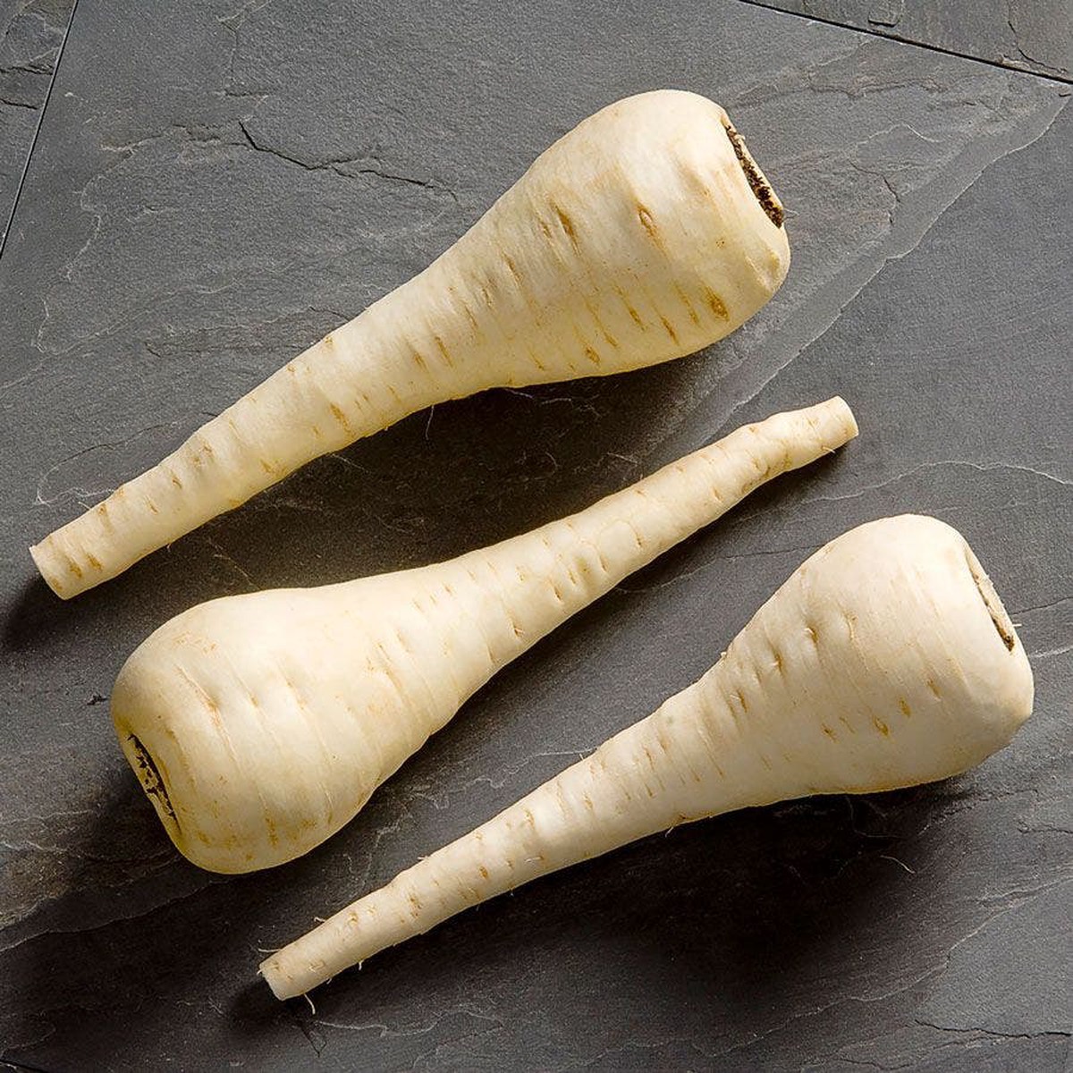 Albion F1 Hybrid Parsnip Seeds