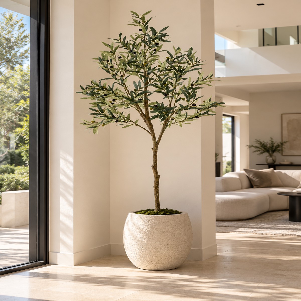 Verona Olive Tree 180cm